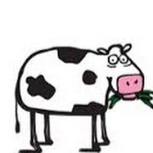 Meet your Posher, Ellen